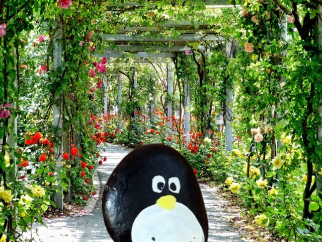 #111 – Georgiadis Park, Heraklion, Crete, Greece 