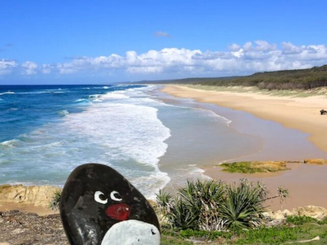 #487 – North Stradbroke Island, Brisbane, Australia