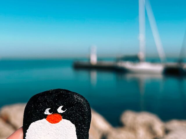 #291 – Mandrać, Izola, Slovenia