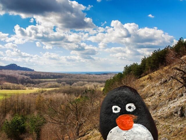 #277 – Above Javorina, Little Carpathians, Slovakia