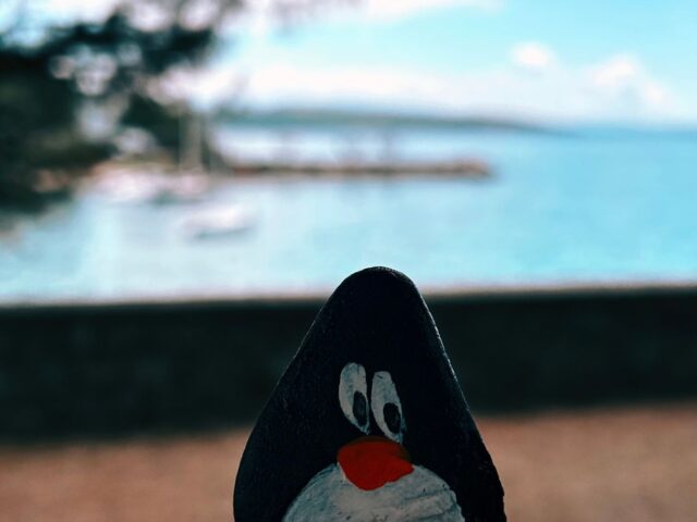 #280 – Beach, Krk, Croatia