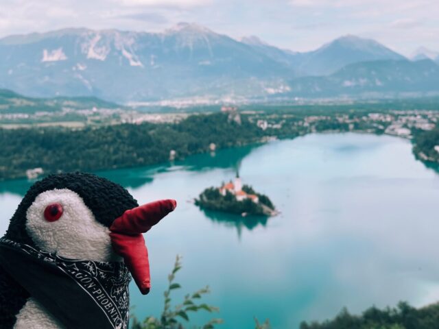 Waddle Up to Mala Osojnica and Velika Osojnica: Lake Bled Viewpoints