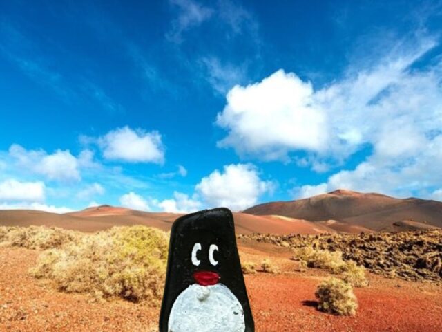 #317 – Enchadero de Los Camellos, Lanzarote, Spain