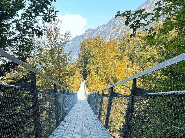 Waddling Over the Suspension Bridge in Leissigen, Switzerland