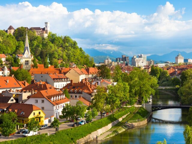 The Mystical Ljubljana Marshes