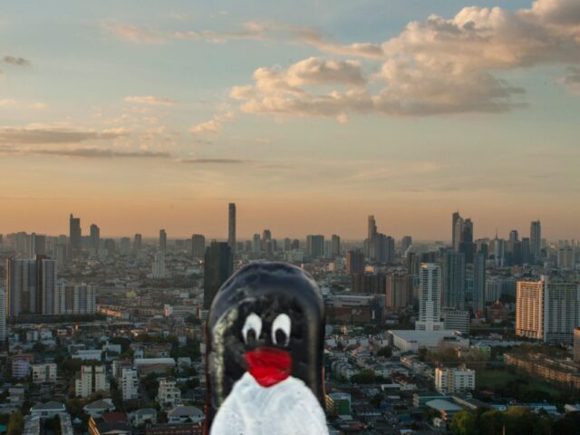 #435 – Mount Coot-Tha Summit Lookout, Brisbane, Australia