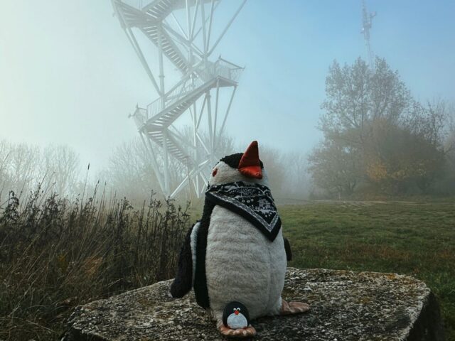#211 – Lookout Tower, Devínska Kobyla, Slovakia