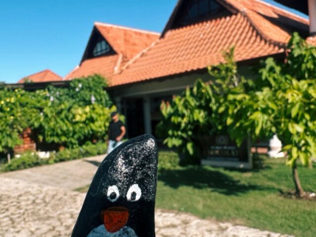 #158 – Mabel Chocolates, La Romana, Dominican Republic