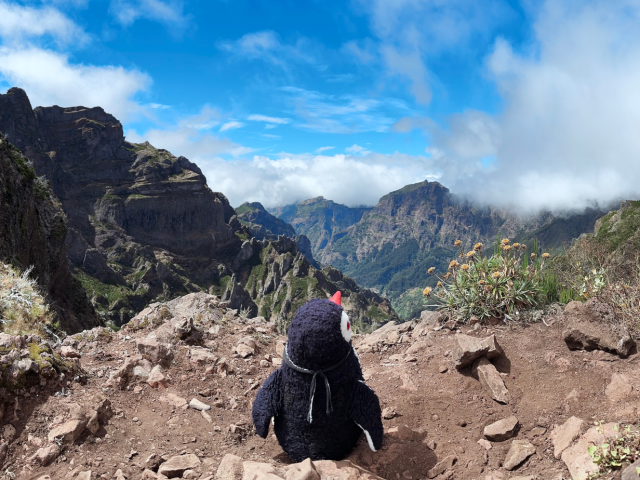 Our Trip to Madeira ~ Portugal 