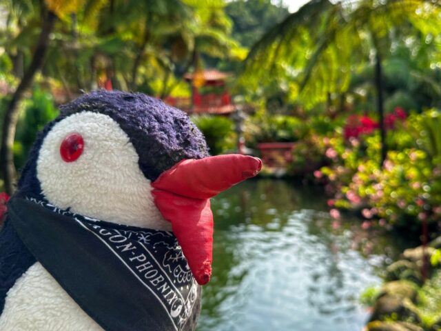 #48 – Monte Palace Tropical Garden, Funchal, Madeira, Portugal