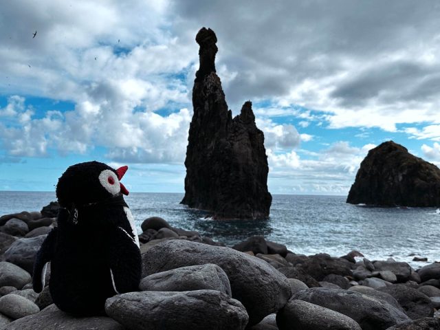 Islets of Ribeira da Janela