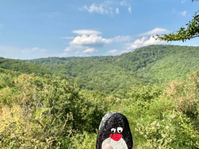 #178 – Malá Baňa, Little Carpathians, Slovakia