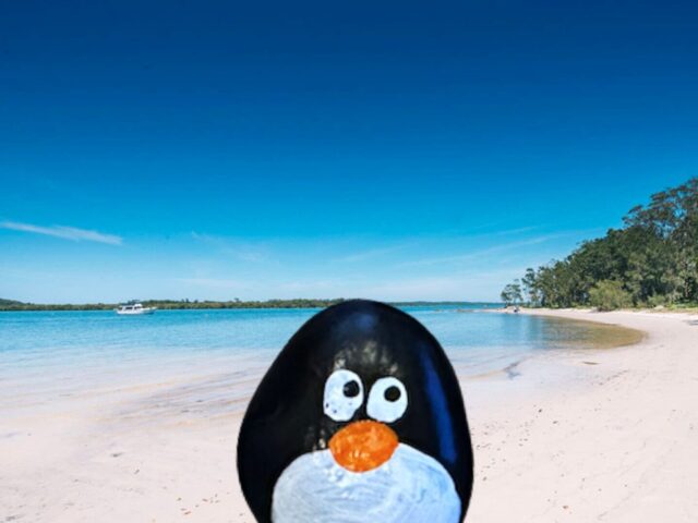 #658 – Mallabula Beach, Tilligerry Habitat, Australia