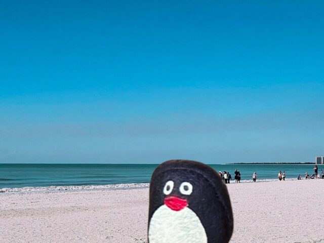 #224 – Marco Island, Florida, USA