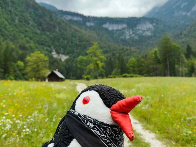 The Scenic Waddle from the Waterfall Mostnice to Lake Bohinj – Your Ultimate Adventure Guide