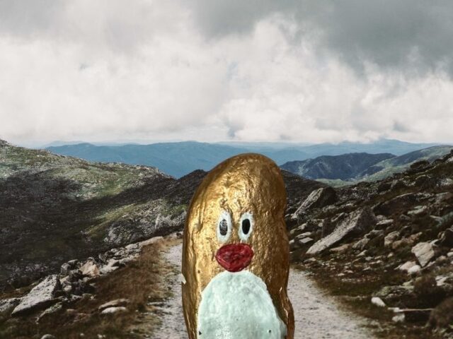 #501 (gold) – Top of Mount Kosciuszko, New South Wales, Australia