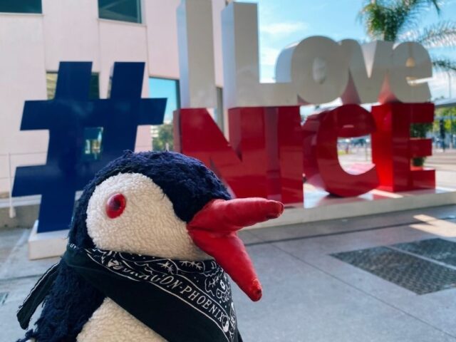 How to Get from Nice Airport to the City Centre: A Penguin’s Guide