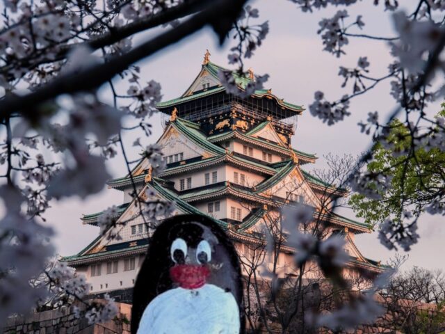 #398 – Odawara Castle, Odawara, Kanagawa, Japan