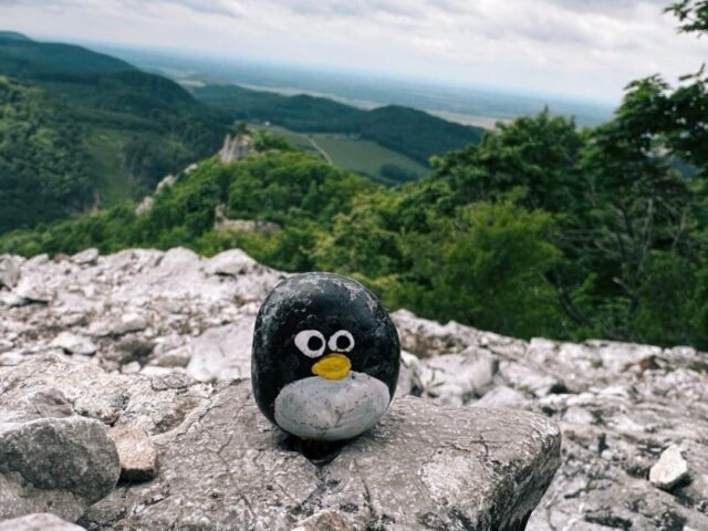 #542 – Ostry Kamen Ruins, Little Carpathians, Slovakia