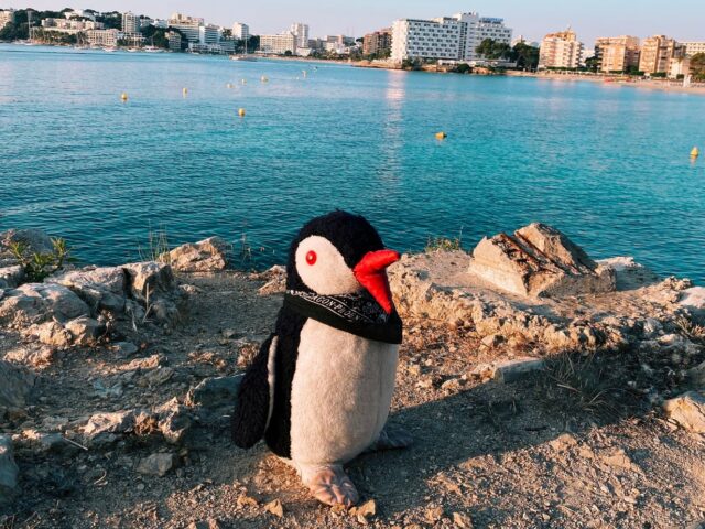 #20 – Palmanova, Mallorca, Spain