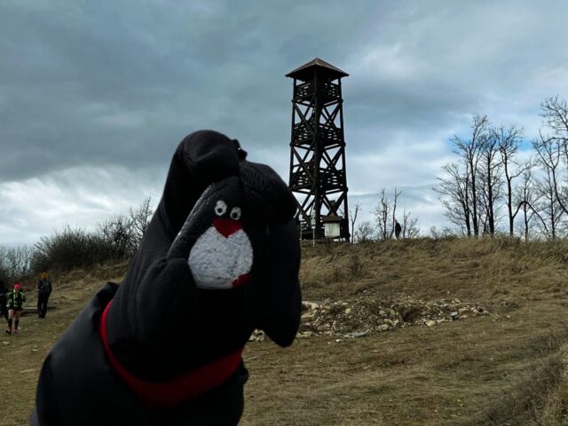 #130 – Lookout Tower, Panska Javorina, Slovakia