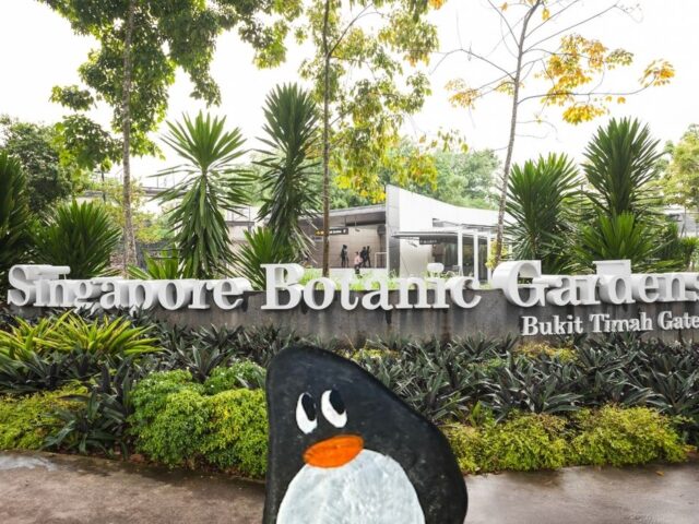 #330 – The Botanic Gardens, Singapore, Singapore