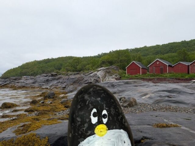 #495 – Framneslia, Narvik, Norway