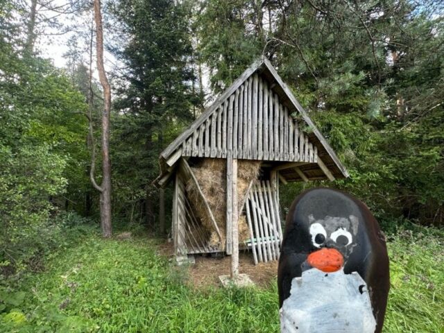 #529 – Deer Feeder, Chmeľnica, Slovakia