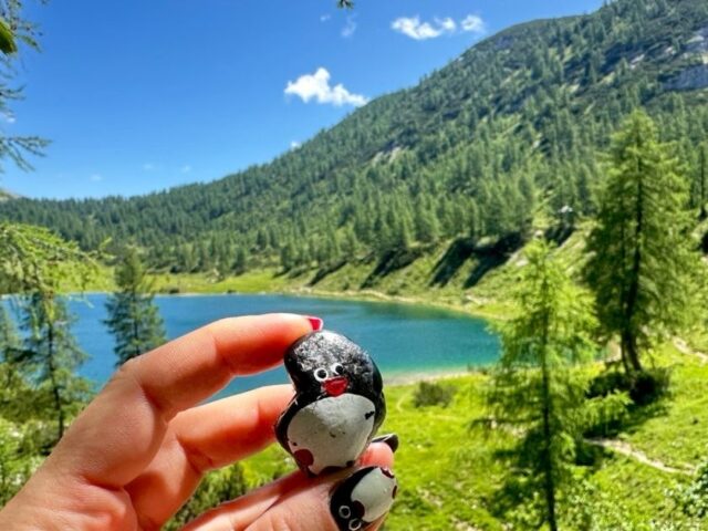 #540 – Schwarzensee, Tauplitzalm plateau, Austria
