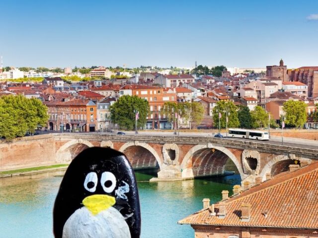#590 – Wall, Toulouse, France