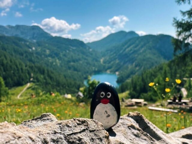 #593 – Steirersee Viewpoint, Tauplitzalm plateau, Austria