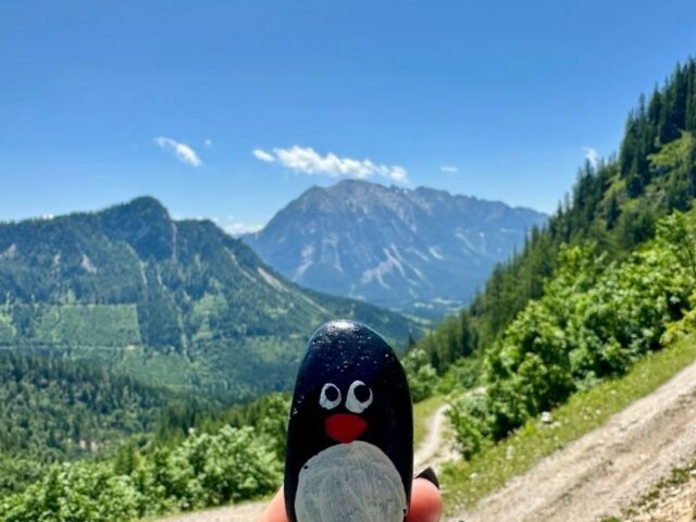 #689 – Downhill Hike, Bad Mitterndorf, Austria