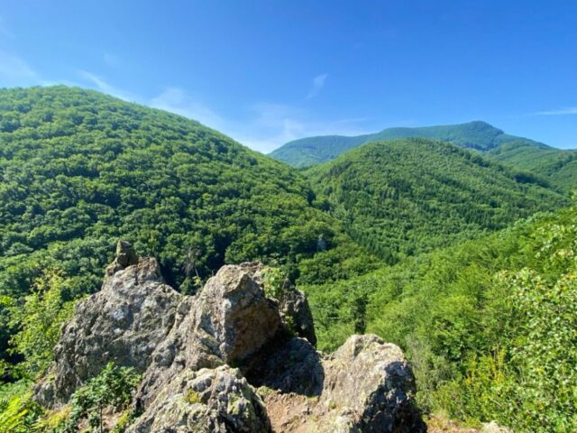 #39 – Valley of Giants, Hermanovce nad Toplou, Slovakia
