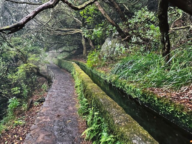 #35 – Levadas das 25 Fontes (PR6), Madeira, Portugal