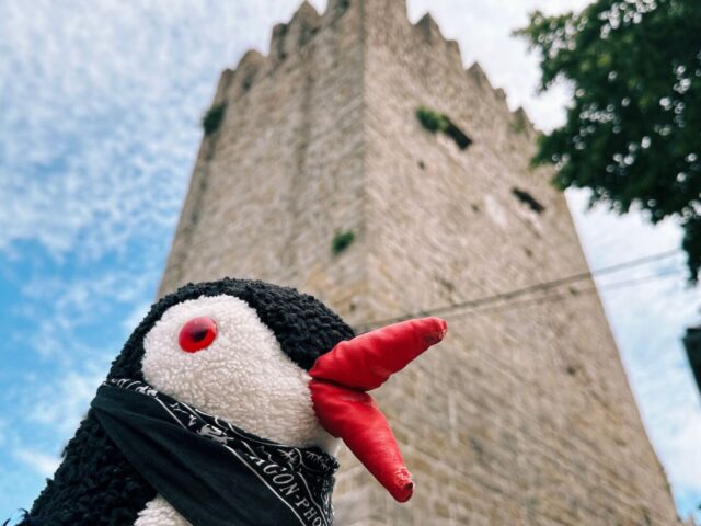 Waddling The Ancient Walls of Piran in Slovenia