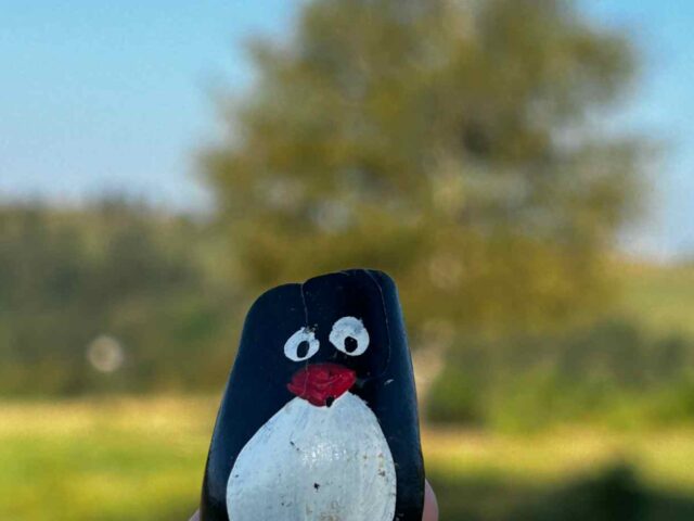 #144 – Potoczek, Jodlow, Poland