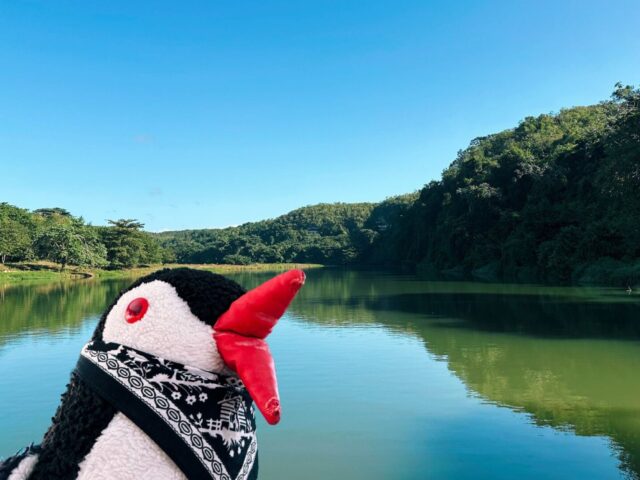 Boat Ride on Rio Chavón in the Dominican Republic