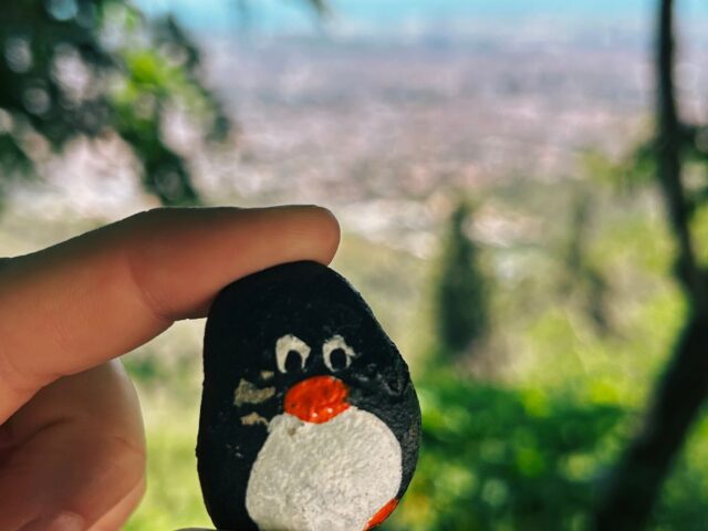 #353 – Sagenraintobel, Switzerland