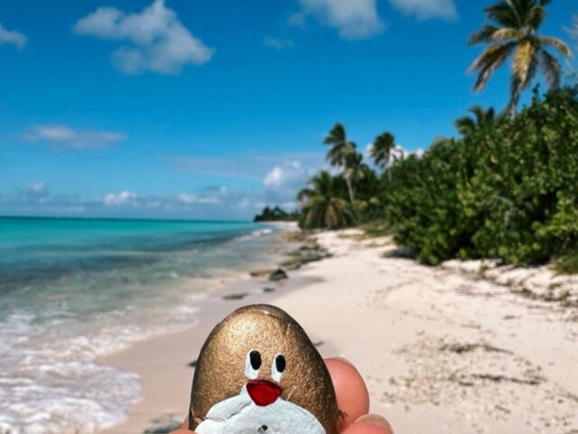 #503 – Playa del Gato, Saona Island, Dominican Republic