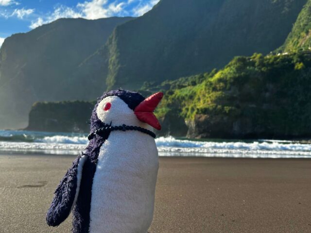 #26 – Seixal Beach, Madeira, Portugal