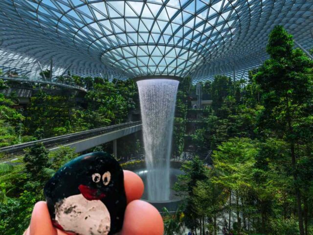 #168 – Jewel Changi Airport, Level L1, Singapore 