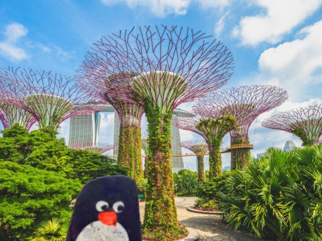 #234 – Supertree Grove, Gardens by the Bay, Singapore
