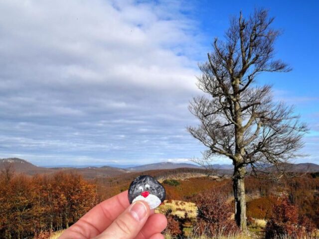 #319 – Skalnata, Little Carpathians, Slovakia