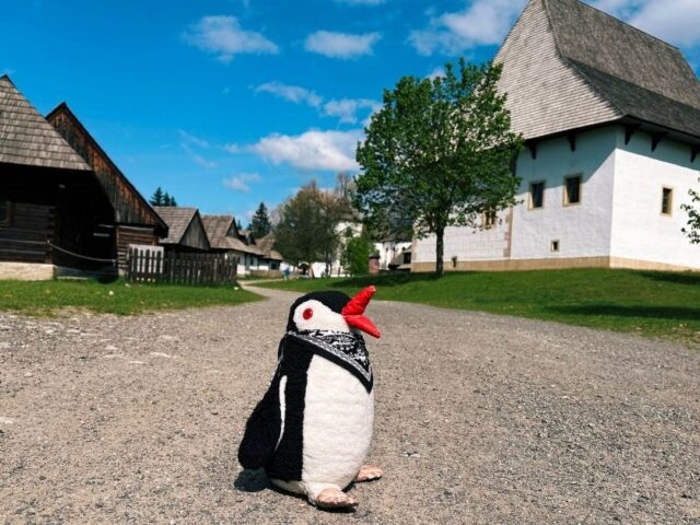 Waddling Through Skanzen Pribylina in Slovakia