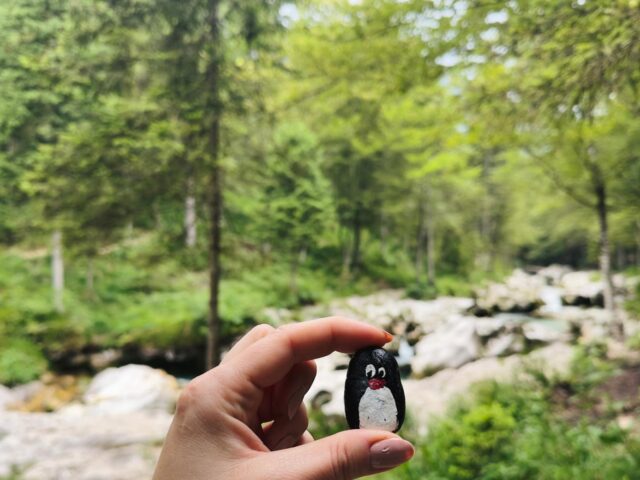 #137 – Slap Mostice, Stara Fužina, Slovenia