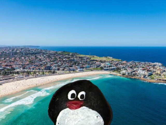 #414 – Squid Bay, Sydney, Australia