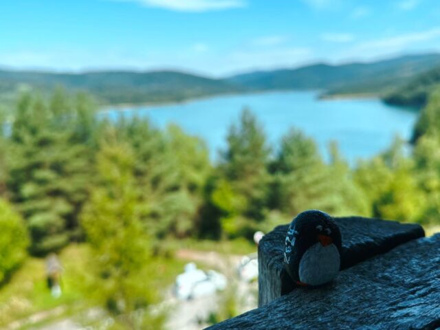 #165 – Starina Reservoir, Poloniny National Park, Slovakia