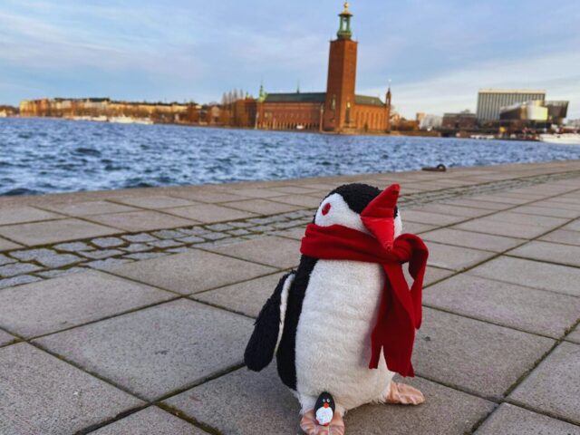 #245 – Viewpoint, Stockholm, Sweden