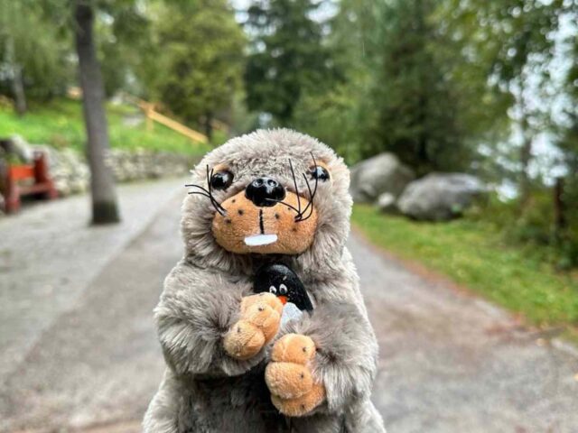 #195 – Štrbské Pleso, High Tatras, Slovakia
