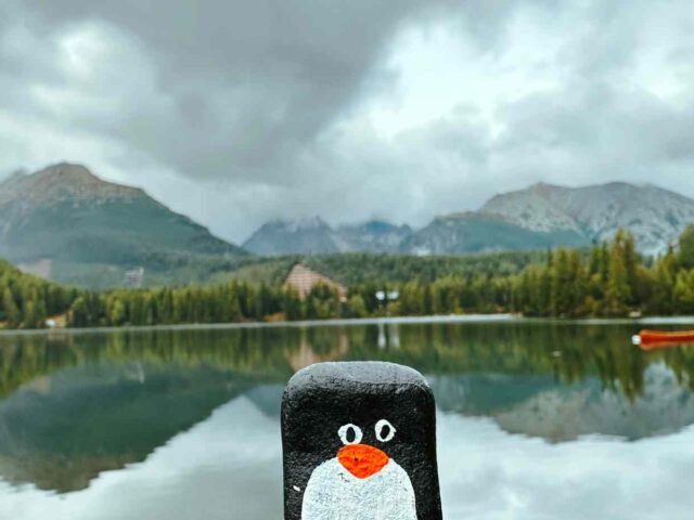 #247 -Small stone at Štrbské Pleso, High Tatras, Slovakia